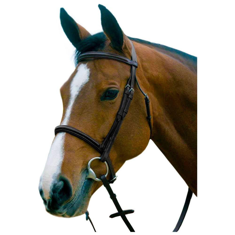 Black Snaffle Bridle T79983