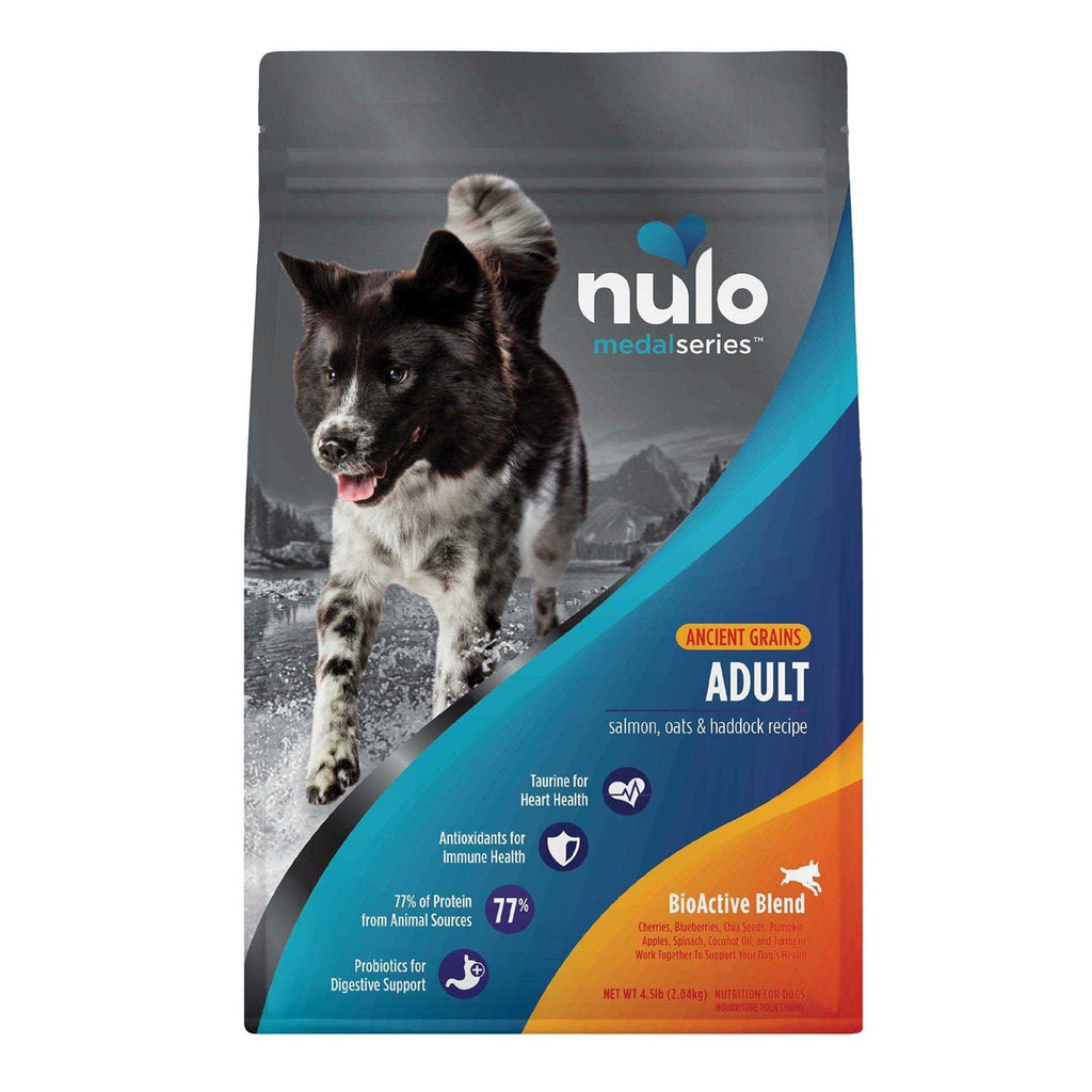 Salmon Dry Dog Food Y25512