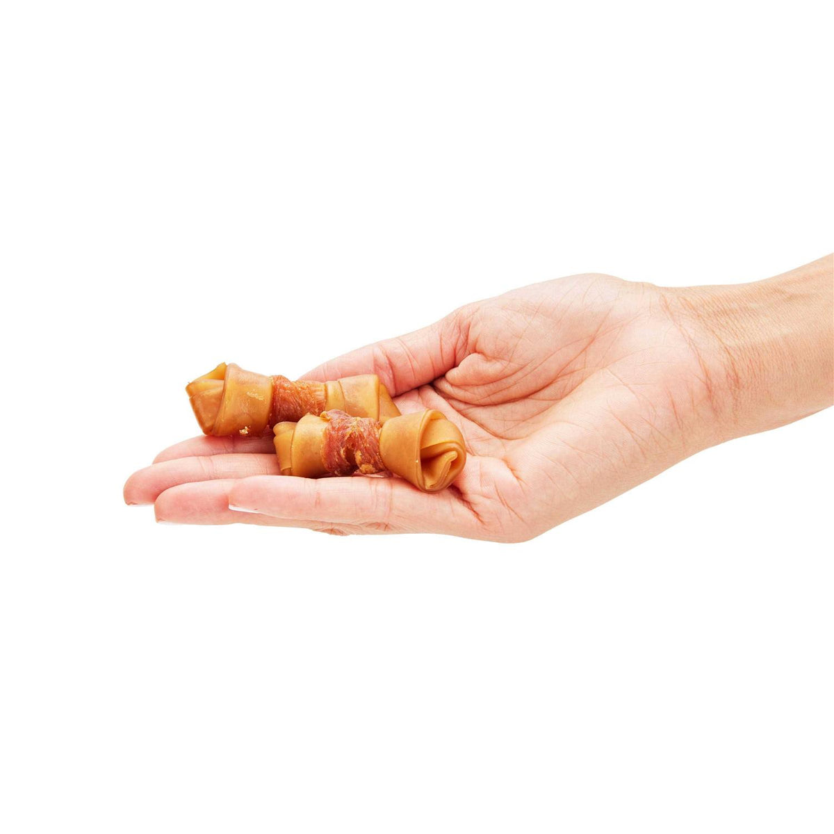 Peanut Butter Flavored Dog Bones O992419