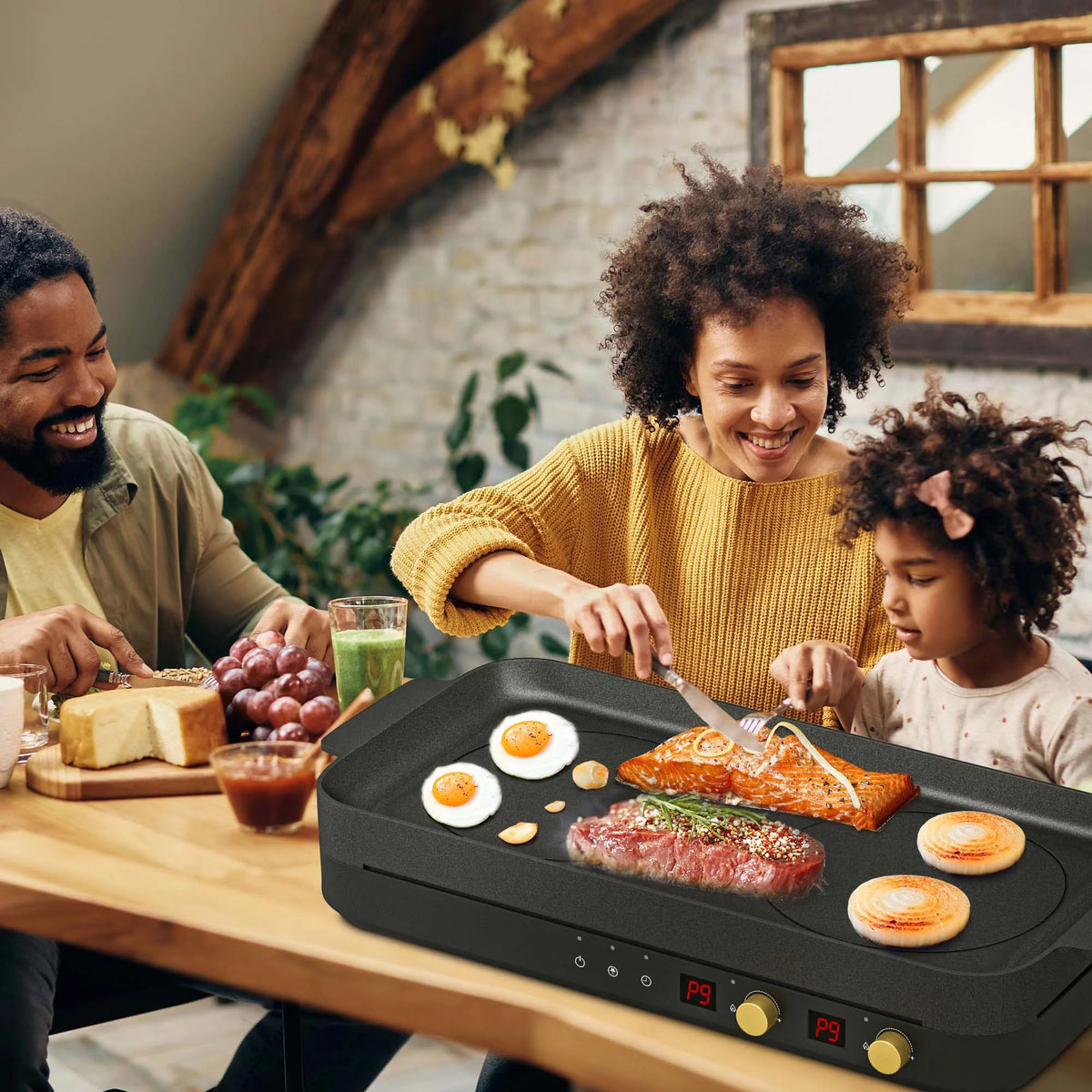 1800W 230V Double Burner Electric Induction Cooktop T735