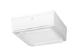 Vandalproof Canopy 40W Warm LED 120V White T570