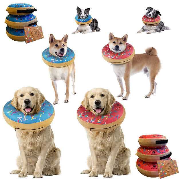 Dog Donut Collar Q910081