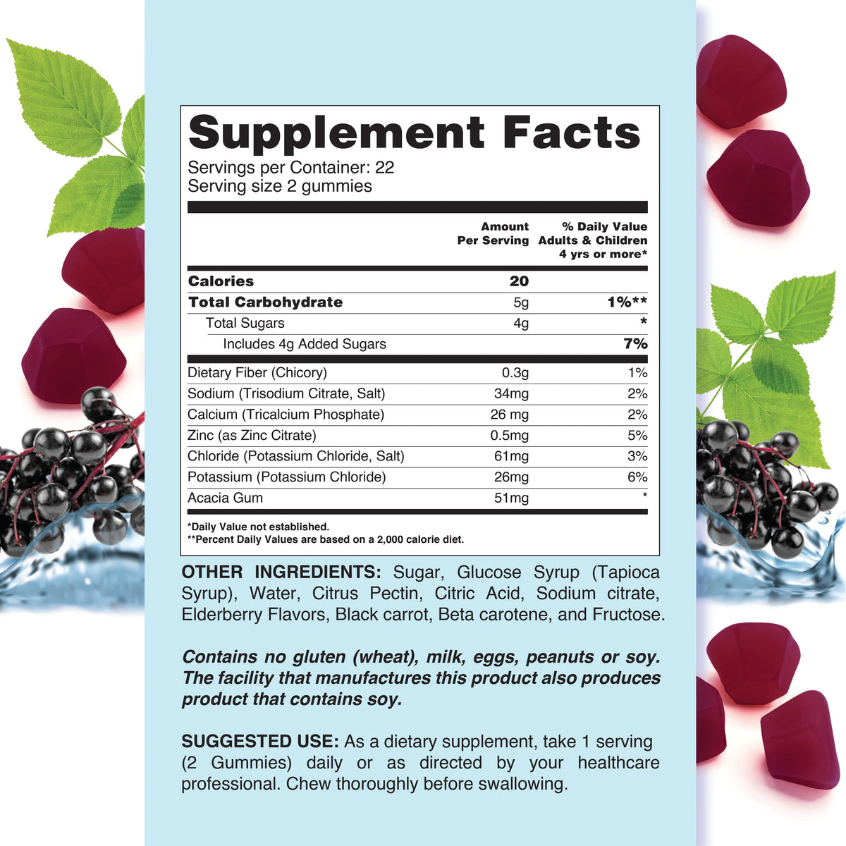Elderberry Electrolyte Gummies 2 Pack 44 Count E41298