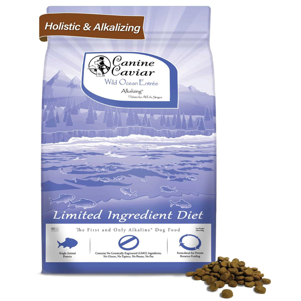 Grain-Free Dry Dog Food B53646