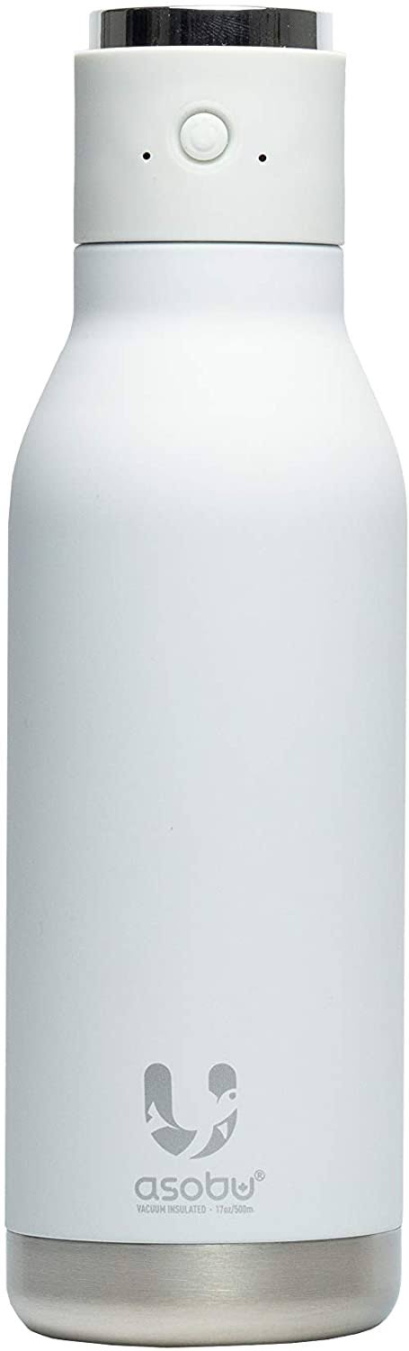 Double Wall Insulated Stainless Steel Water Bottle 17 Ounce L952591