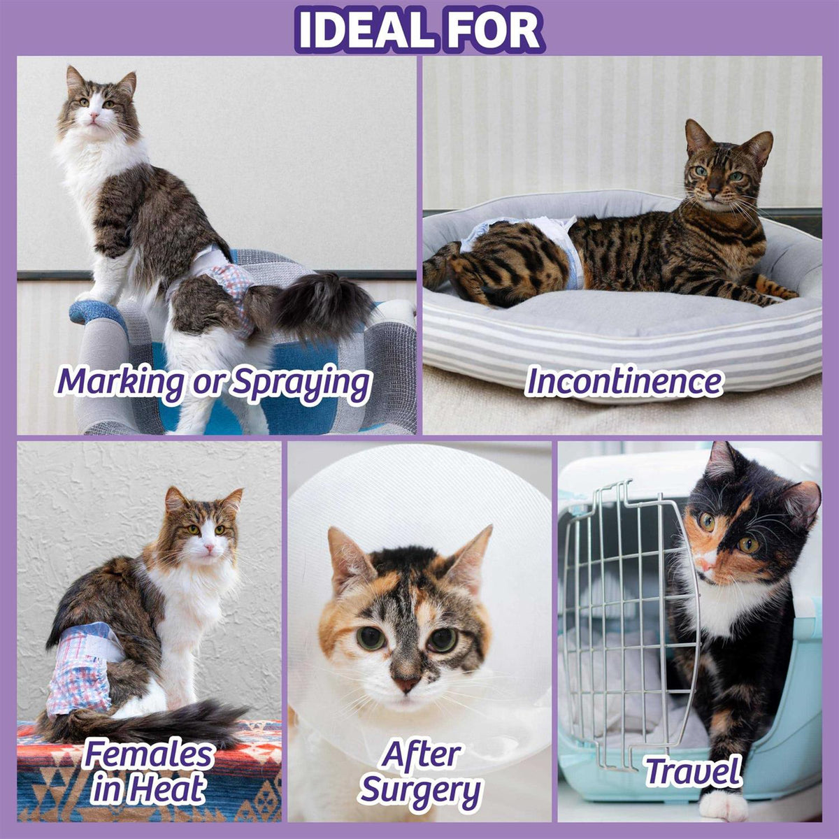 Disposable Cat Diapers H2262