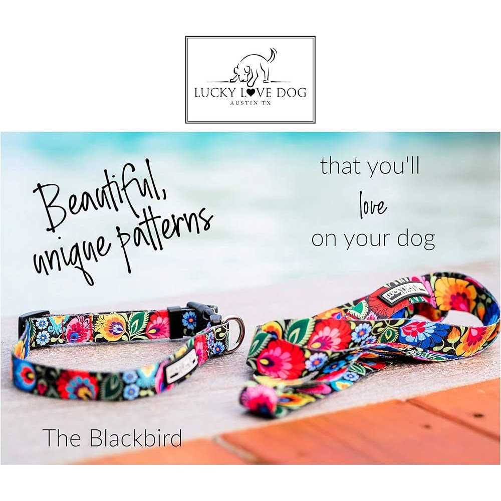 Martingale Dog Collar No Slip S93630