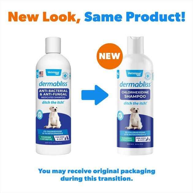 Chlorhexidine Shampoo 16 Oz R611271