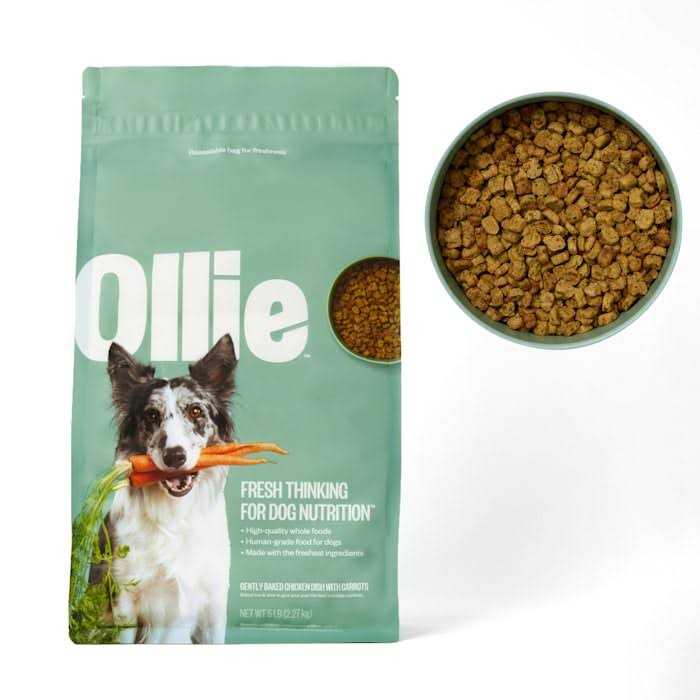 Baked Chicken Dish with Carrots Dry Dog Food S7486