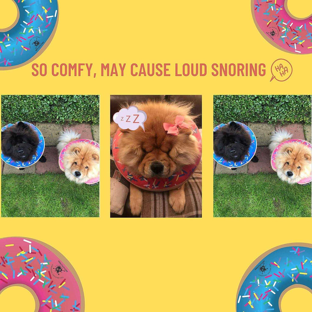 Dog Donut Collar Q910081