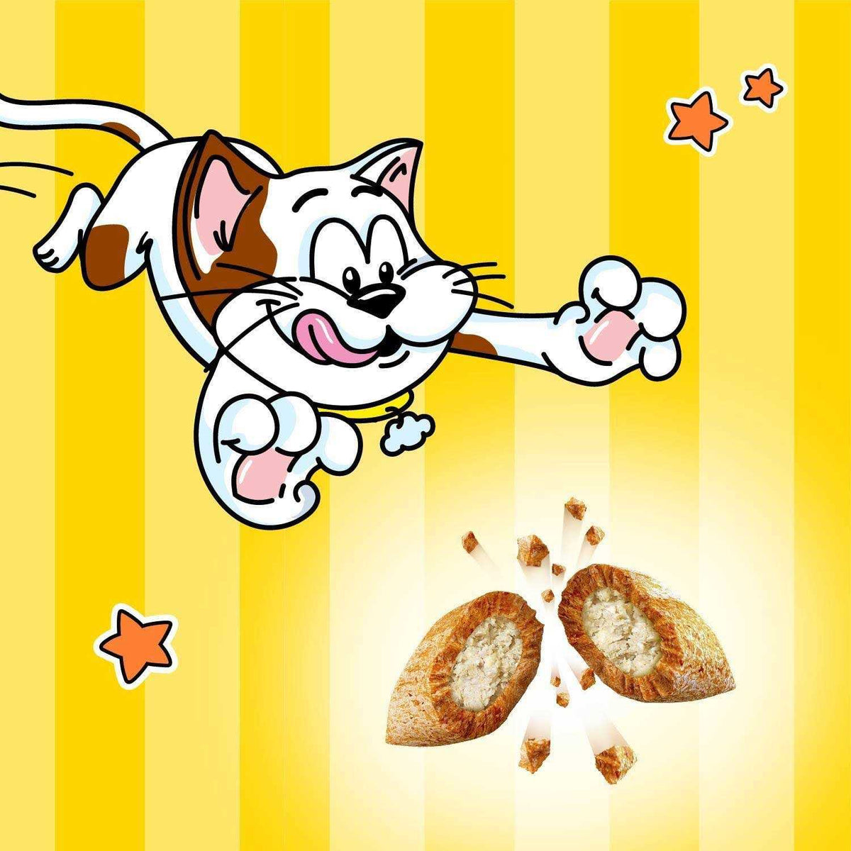 Chicken Dairy & Shrimp Flavors Crunchy & Soft Cat Treats V15163