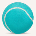 Tennis Ball Dog Y760930