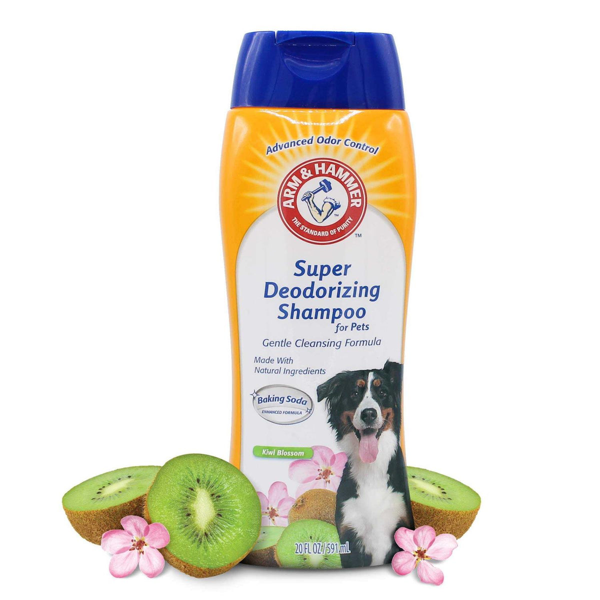 Deodorizing Dog Shampoo X2816