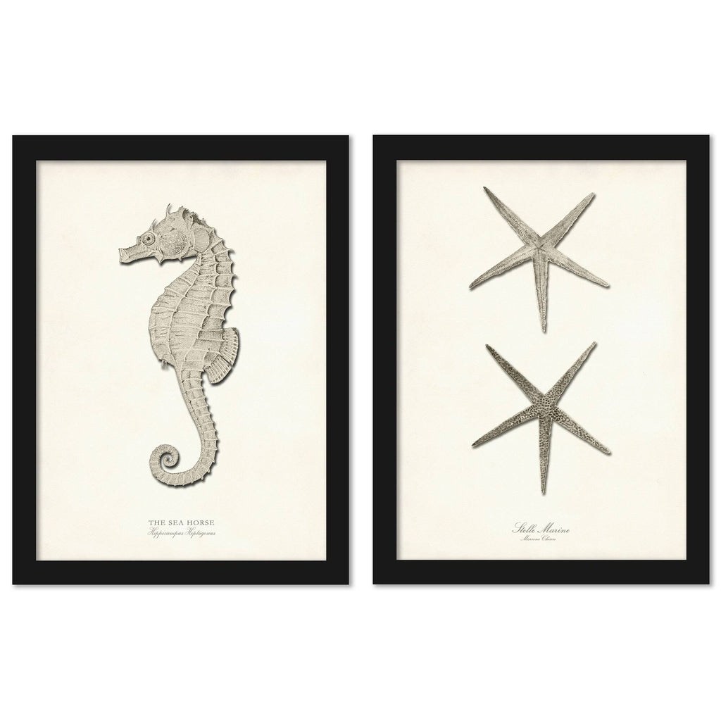 Greige Sea Horse 2 Piece Black Framed Print Set D18366