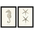 Greige Sea Horse 2 Piece Black Framed Print Set D18366