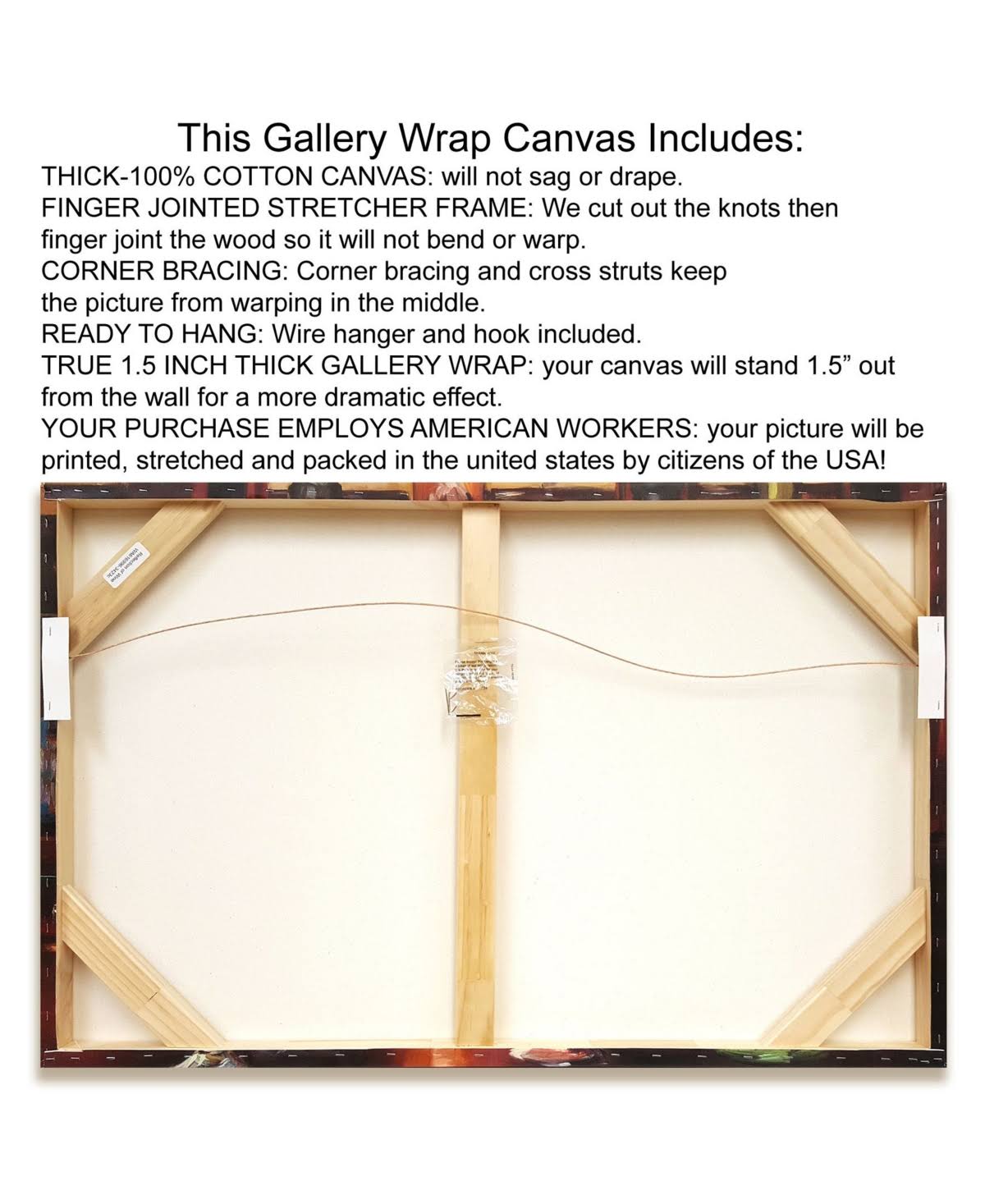 Canvas X503