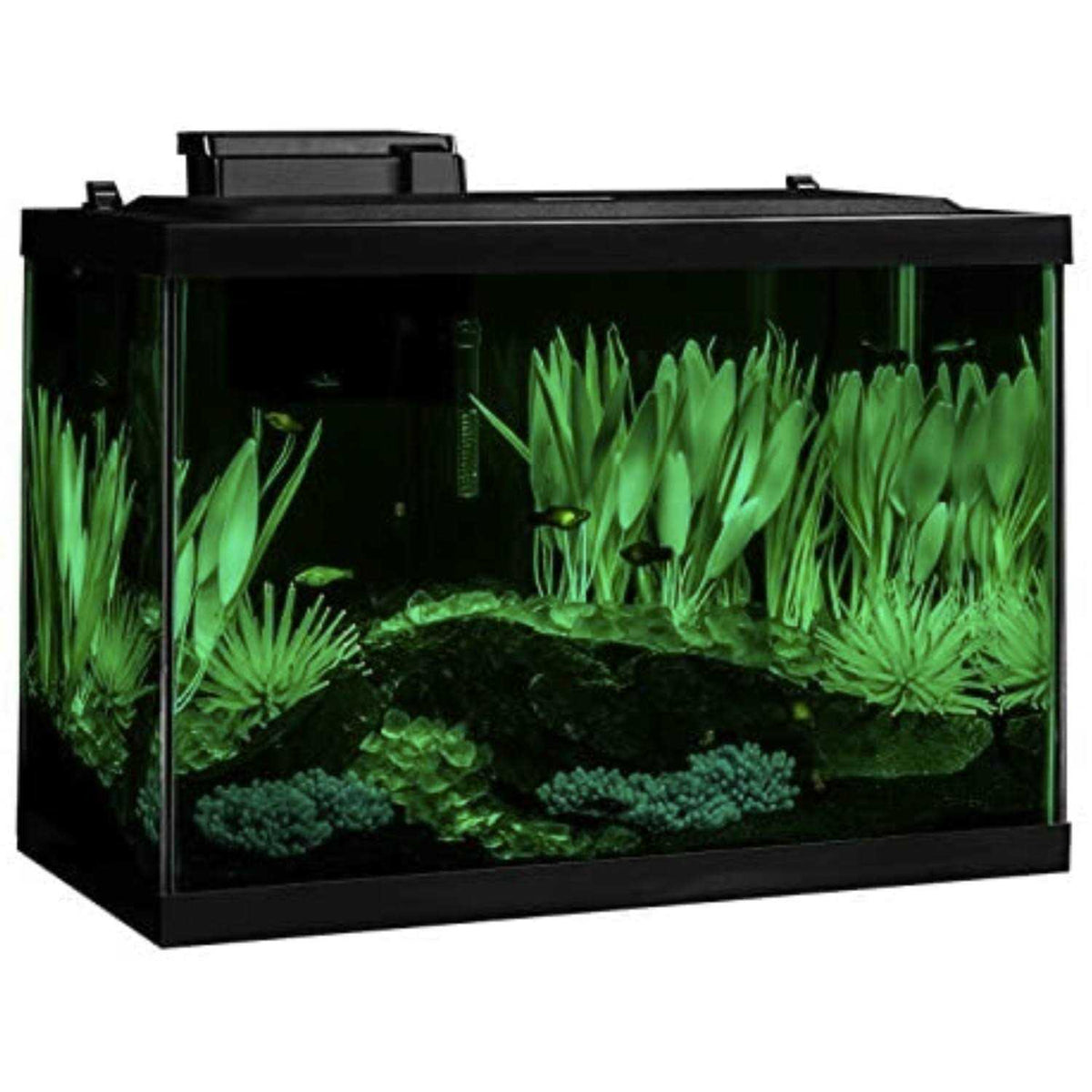 20 Gallon Fish Tank Kit with LED F64148