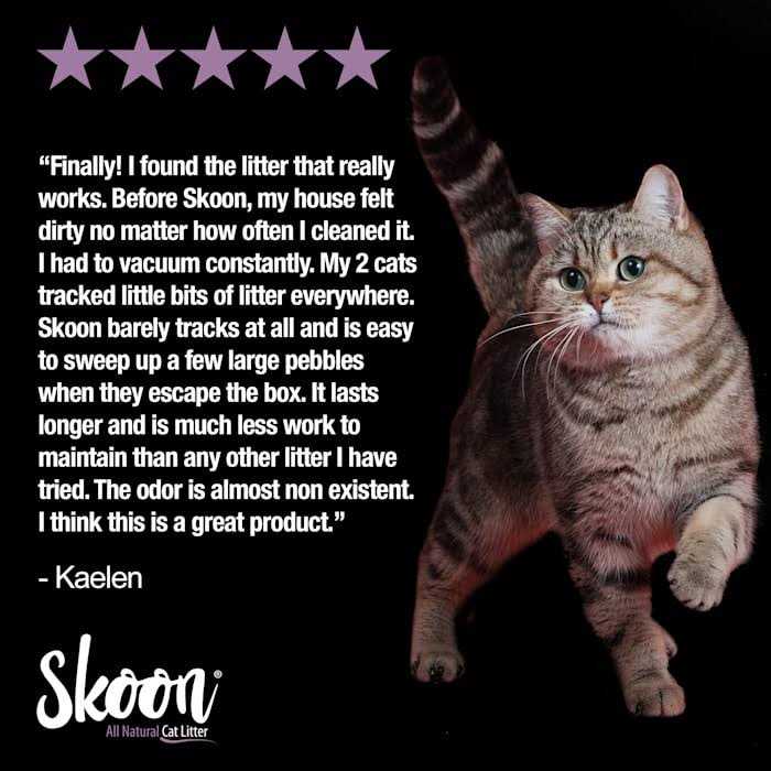 All-Natural Light-Weight Non-Clumping Cat Litter K6569