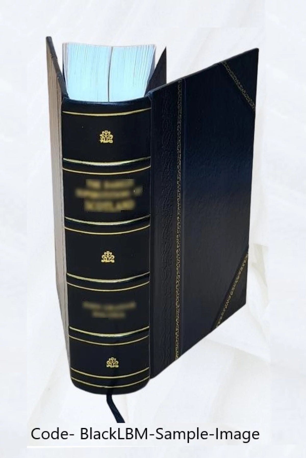 Leather Bound P8150