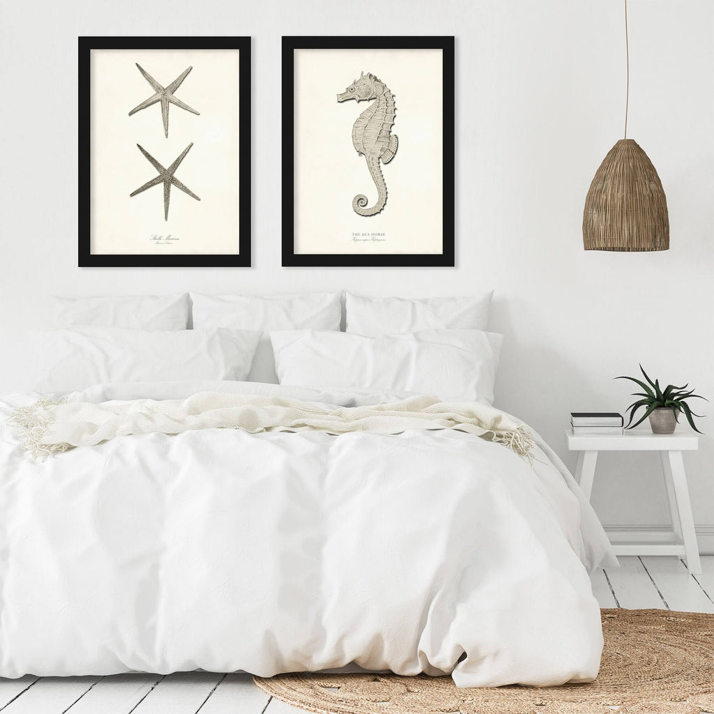 Greige Sea Horse 2 Piece Black Framed Print Set D18366