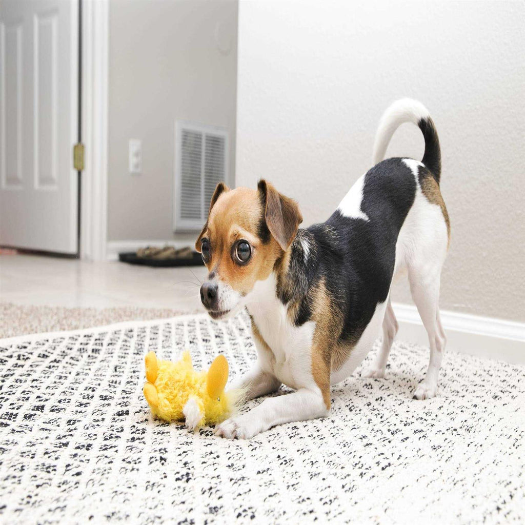 Plush Dog Toy M909