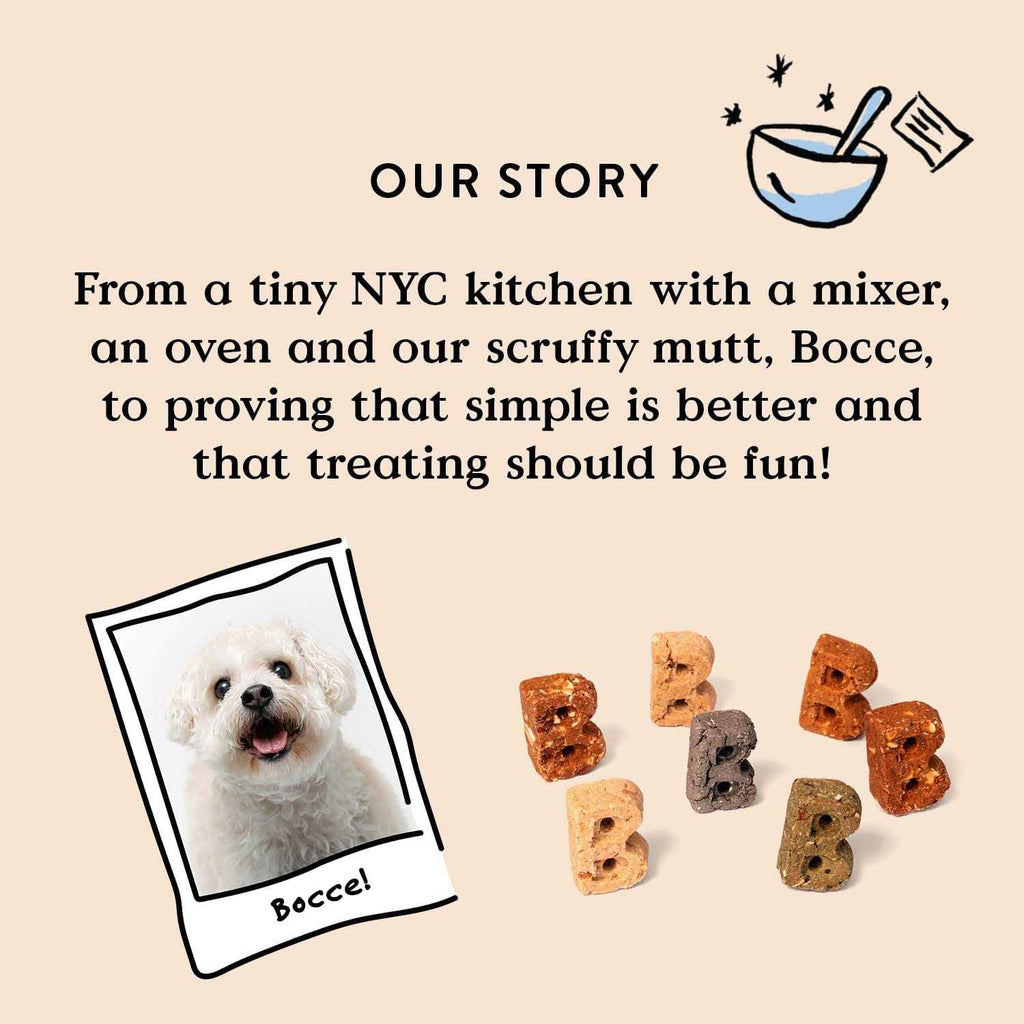 Birthday Cake Biscuits Dog Treats X76435