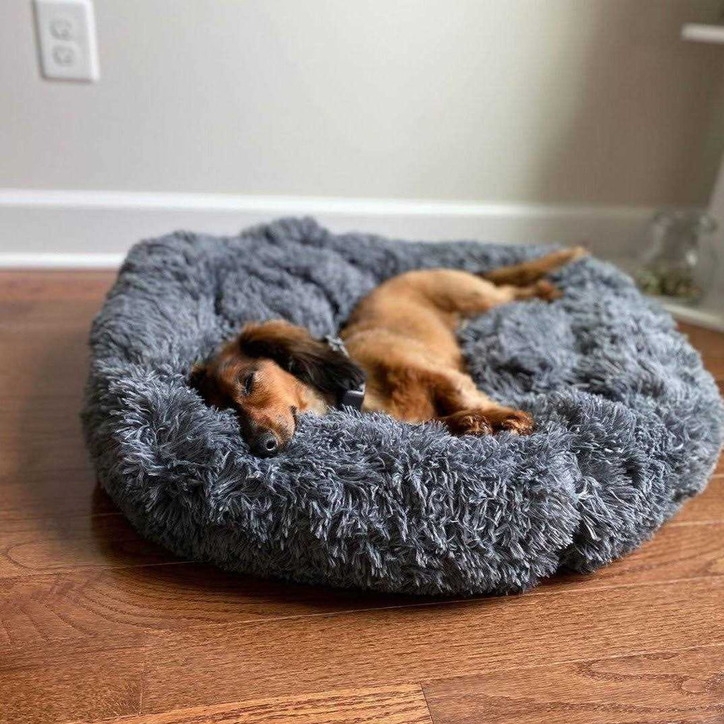 Calming Anti Anxiety Dog Bed D346