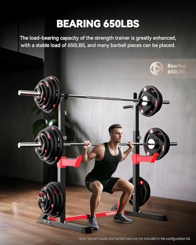 Heavy Duty Adjustable Squat Rack W907911
