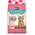 Dry Cat Food Recipe T5181