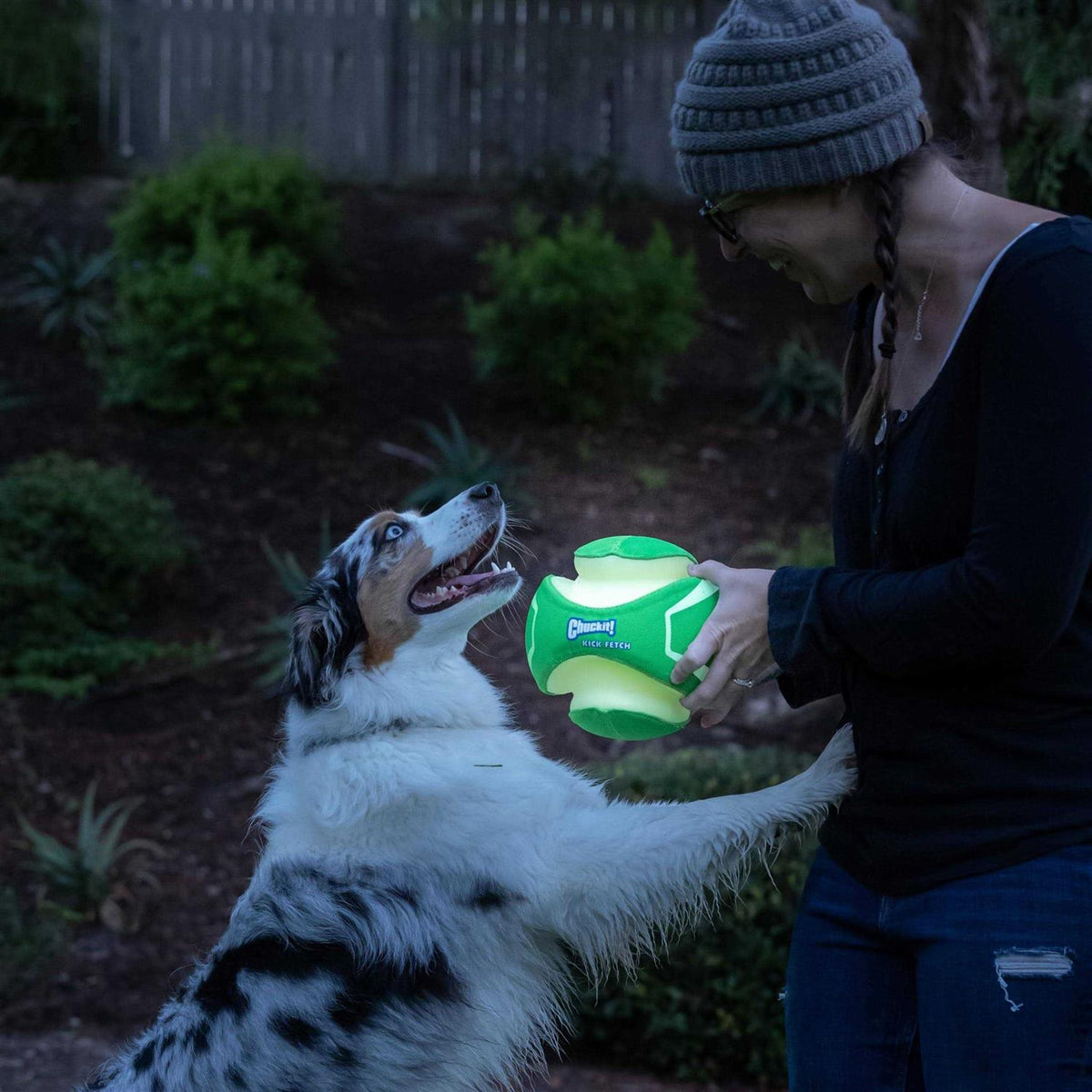 Glow Dog Toy Y3304