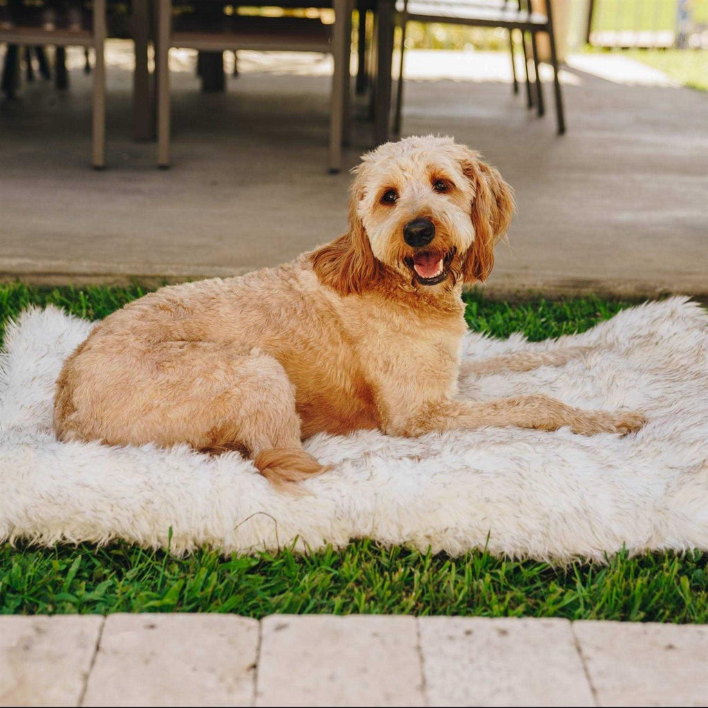 White Portable Orthopedic Dog Bed B418