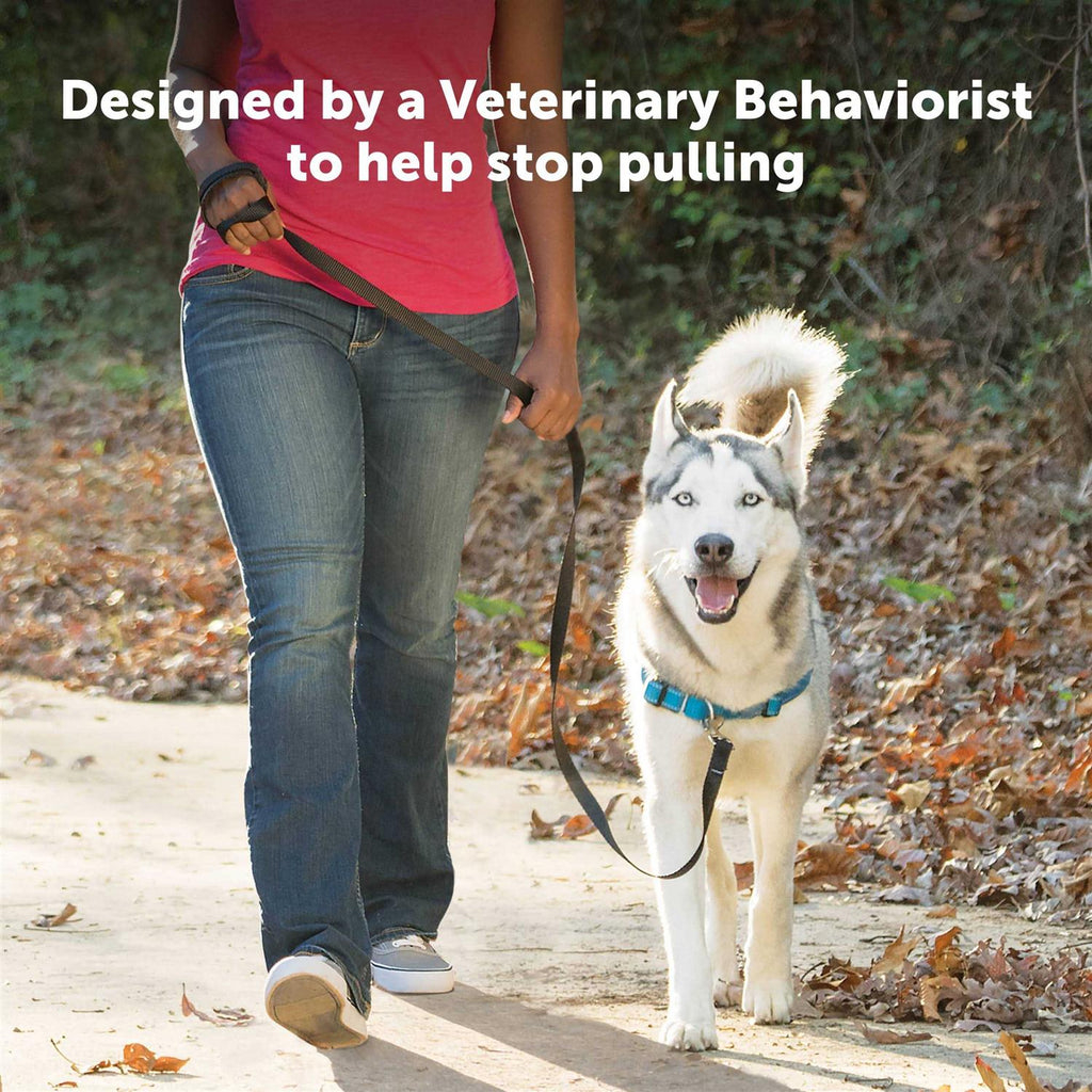 Easy Walk Harness D5219