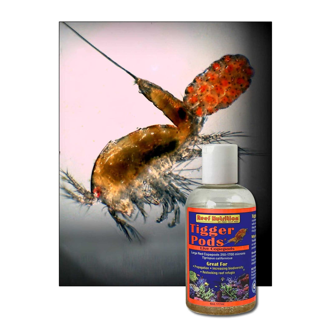 Pet Supplies W18472