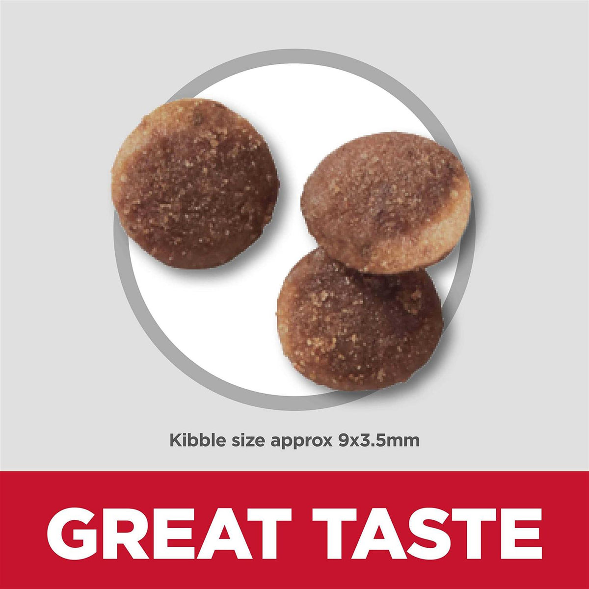 Sensitive Stomach & Skin Dry Cat Food G139
