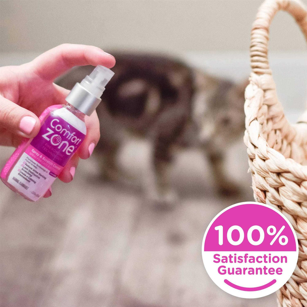 Cat Calming Spray K56090