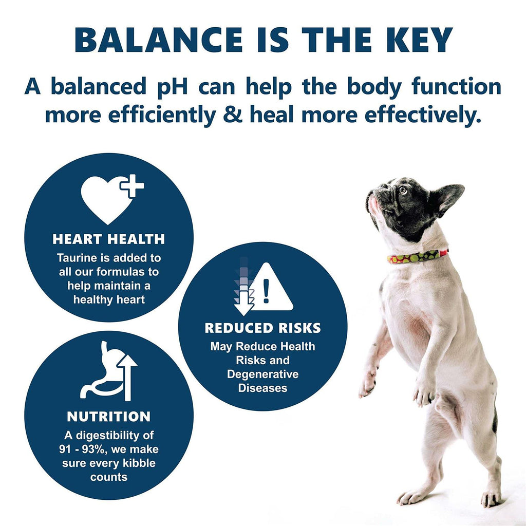 Grain-Free Dry Dog Food B53646