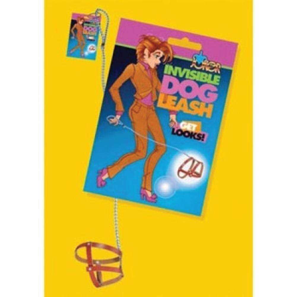 Invisible Dog Leash Q88050