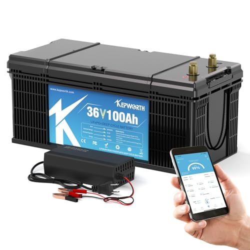 12.8V 100Ah LiFePO4 Battery with 100A BMS R757