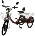 Adult Electric Tricycle N226