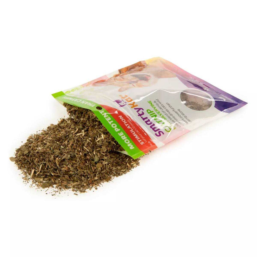 Catnip with Silvervine L7556