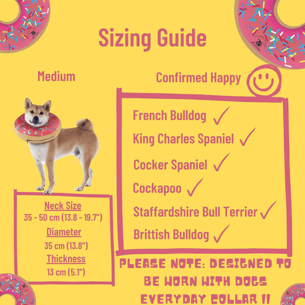 Dog Donut Collar Q910081