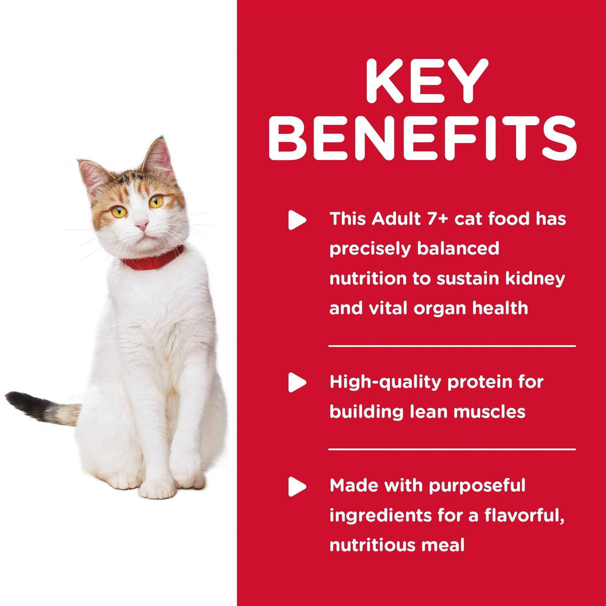Chicken Cat Food E342891