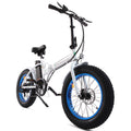 20 Fat Tire Folding Electric Bike 500W 36V S161