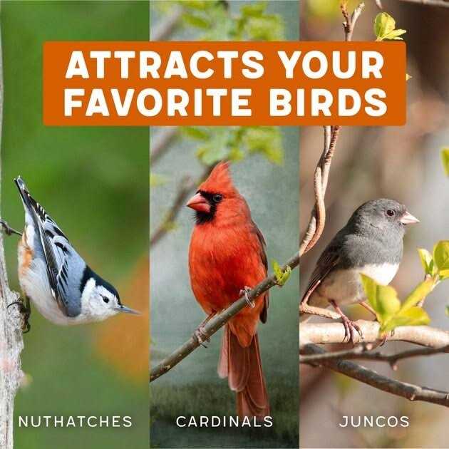 Hot Pepper Blend Bird Food B836