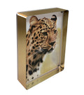 Magnet Frame Gold Silver 5x7 W8144