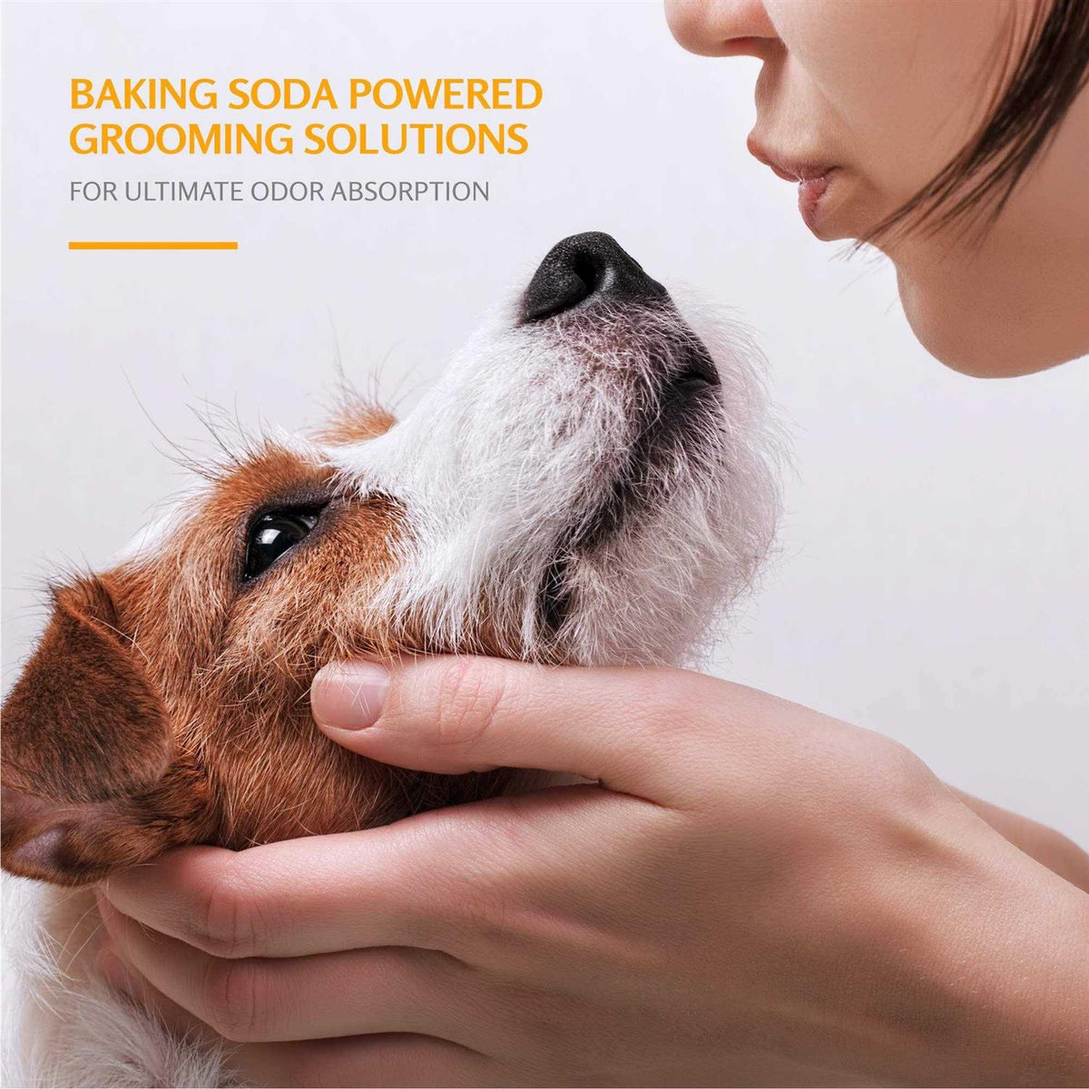 Deodorizing Dog Shampoo X2816