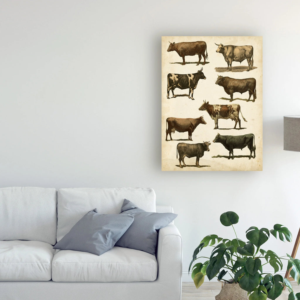 Antique Cow Chart Canvas Art Y719
