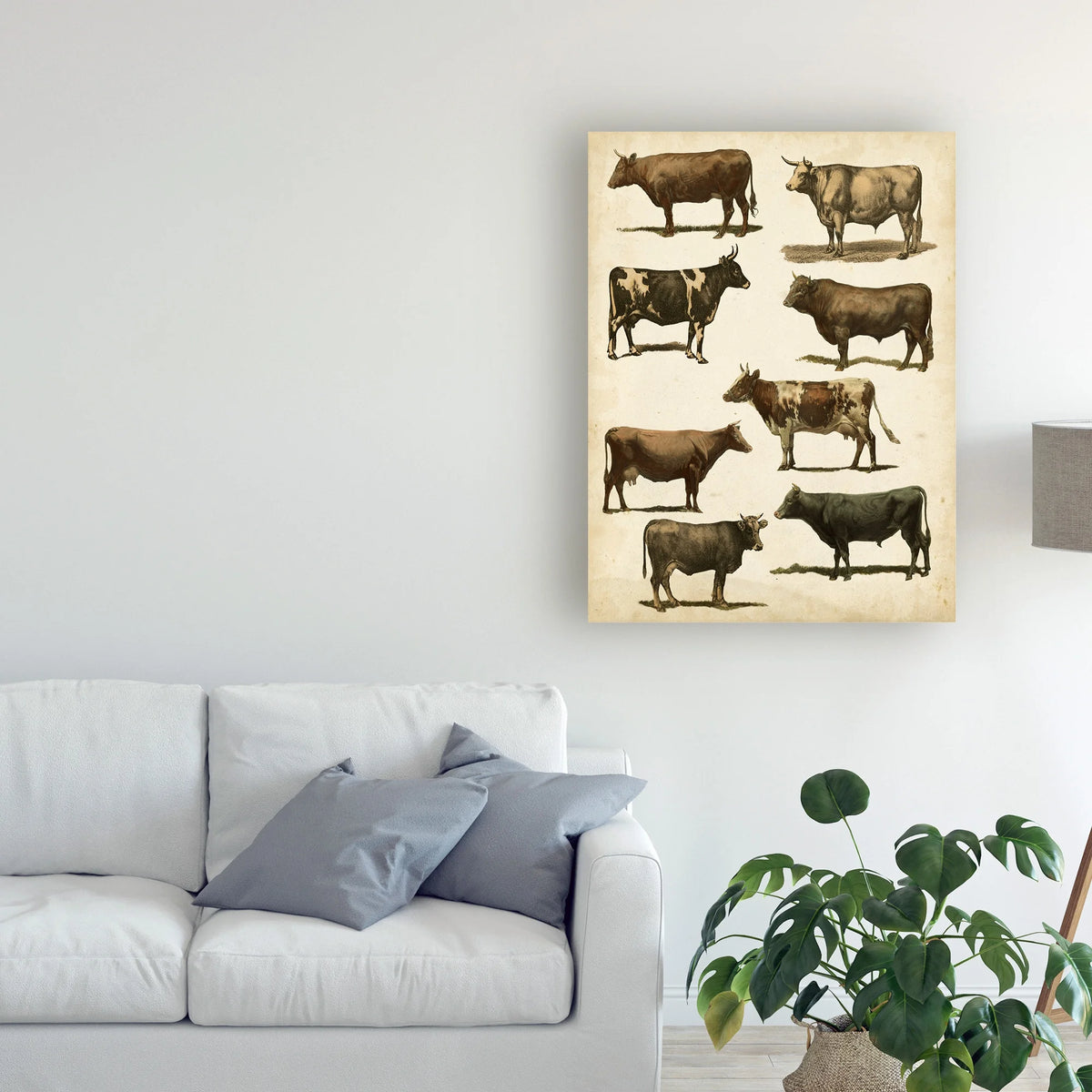 Antique Cow Chart Canvas Art Y719