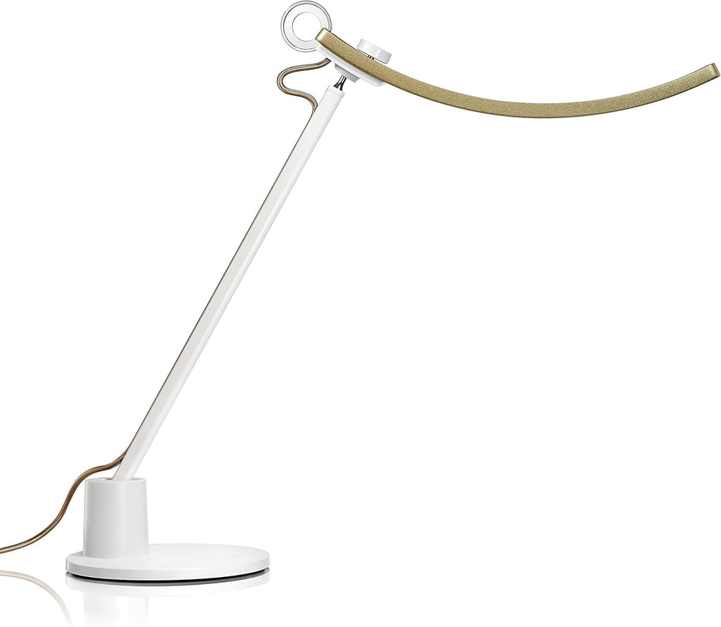 LED Desk Lamp with Auto-Dimming Q3105