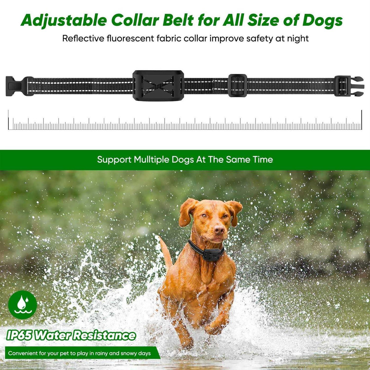Wireless Dog Fence 2 Dogs Training Collar Remote X593104